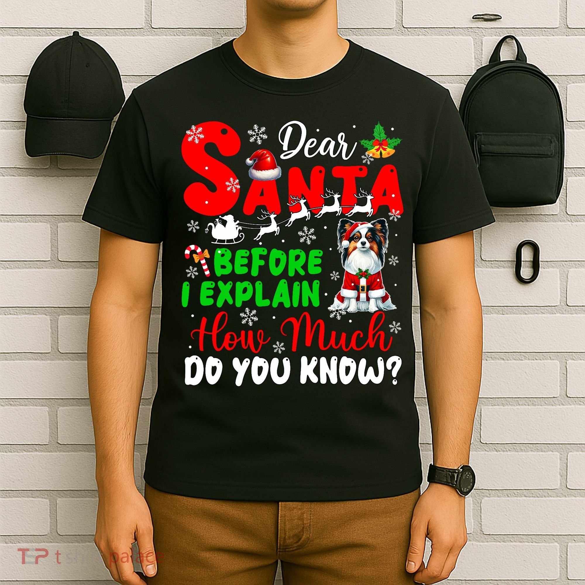 Before I Explain How Much You Know Xmas Papillon Owner Lover T-Shirt