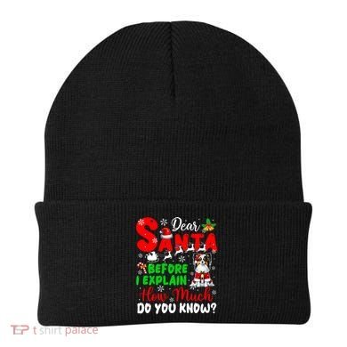 Before I Explain How Much You Know Xmas Papillon Owner Lover Beanie