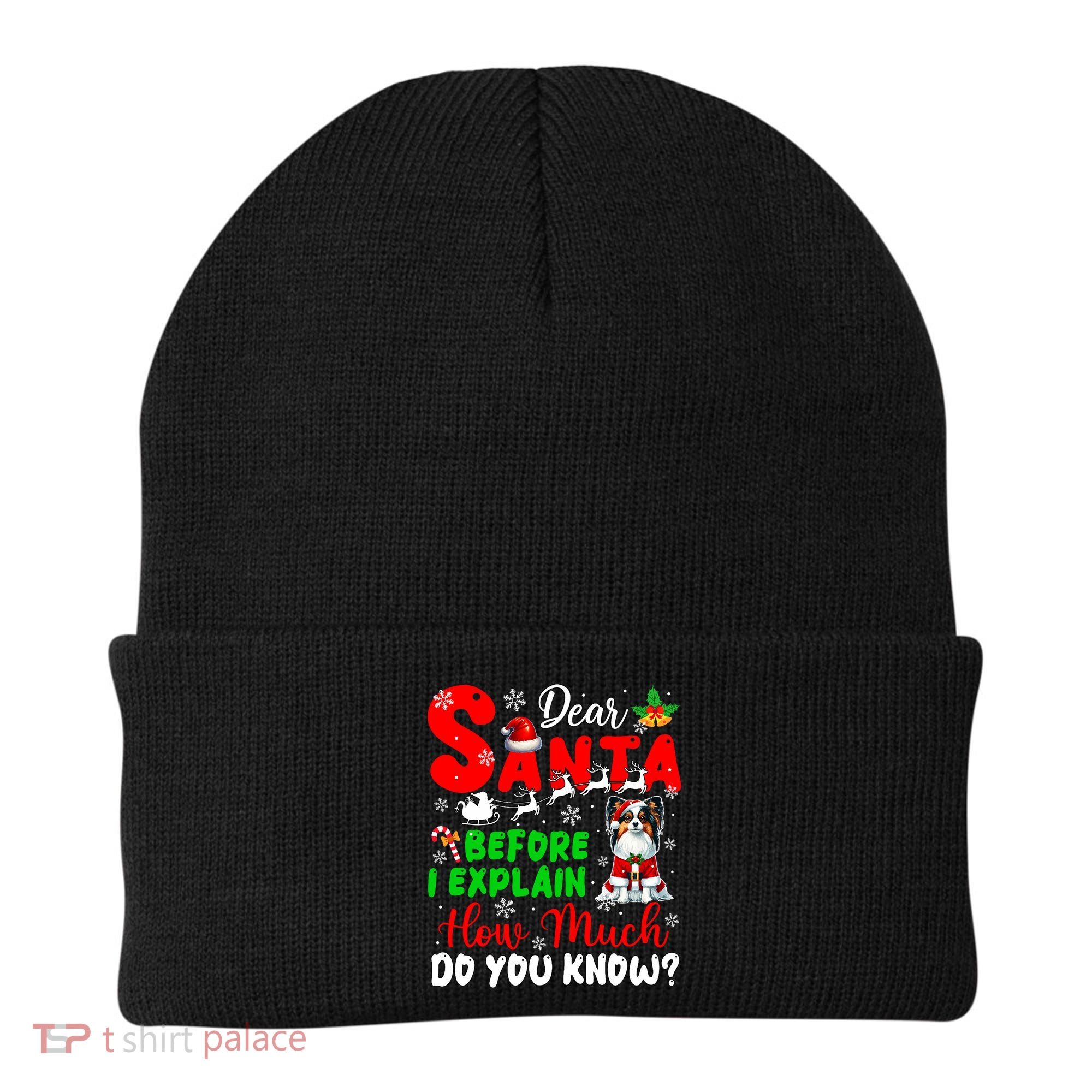 Before I Explain How Much You Know Xmas Papillon Owner Lover Beanie