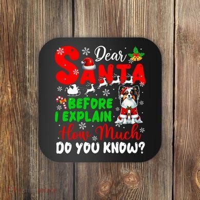 Before I Explain How Much You Know Xmas Papillon Owner Lover Coaster