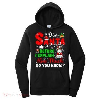 Before I Explain How Much You Know Xmas Papillon Owner Lover Women's Hoodie