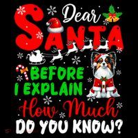 Before I Explain How Much You Know Xmas Papillon Owner Lover Women's Hoodie thumb 2