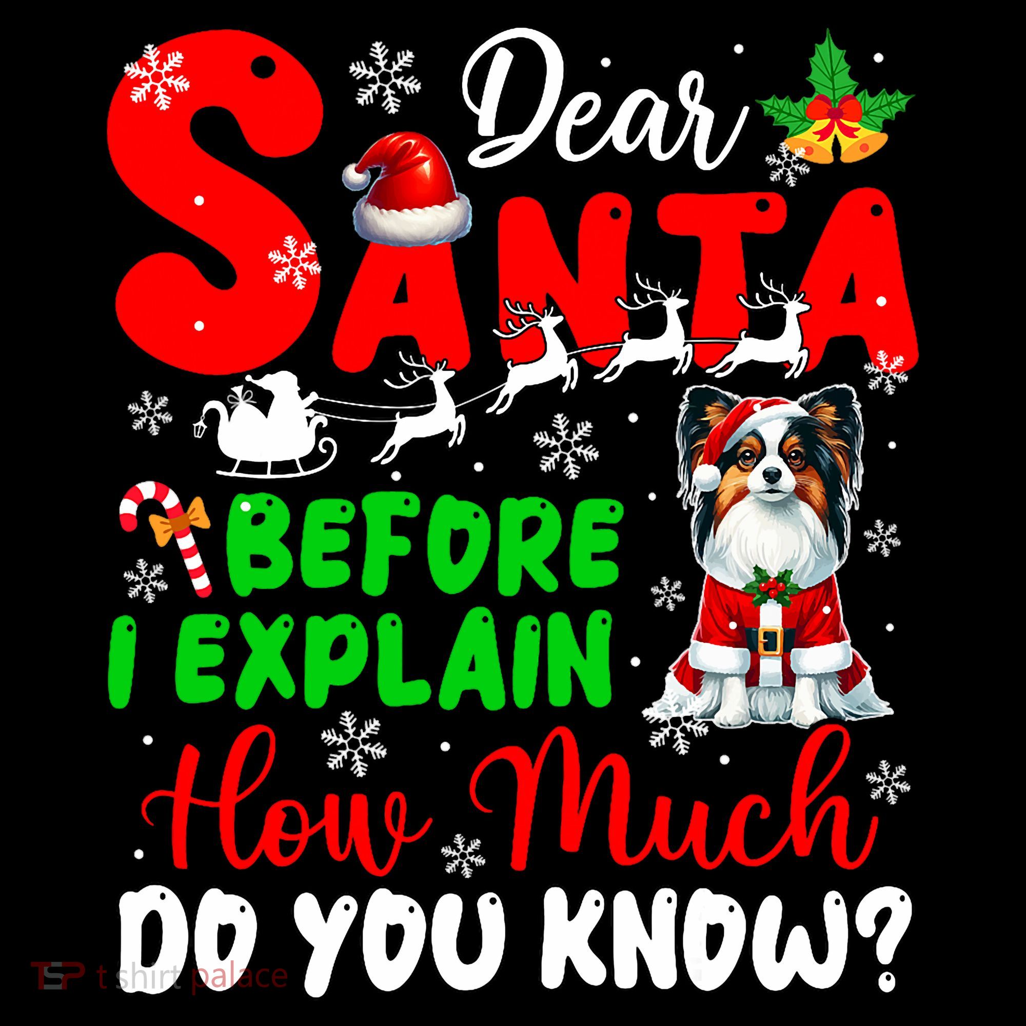 Before I Explain How Much You Know Xmas Papillon Owner Lover Women's Hoodie