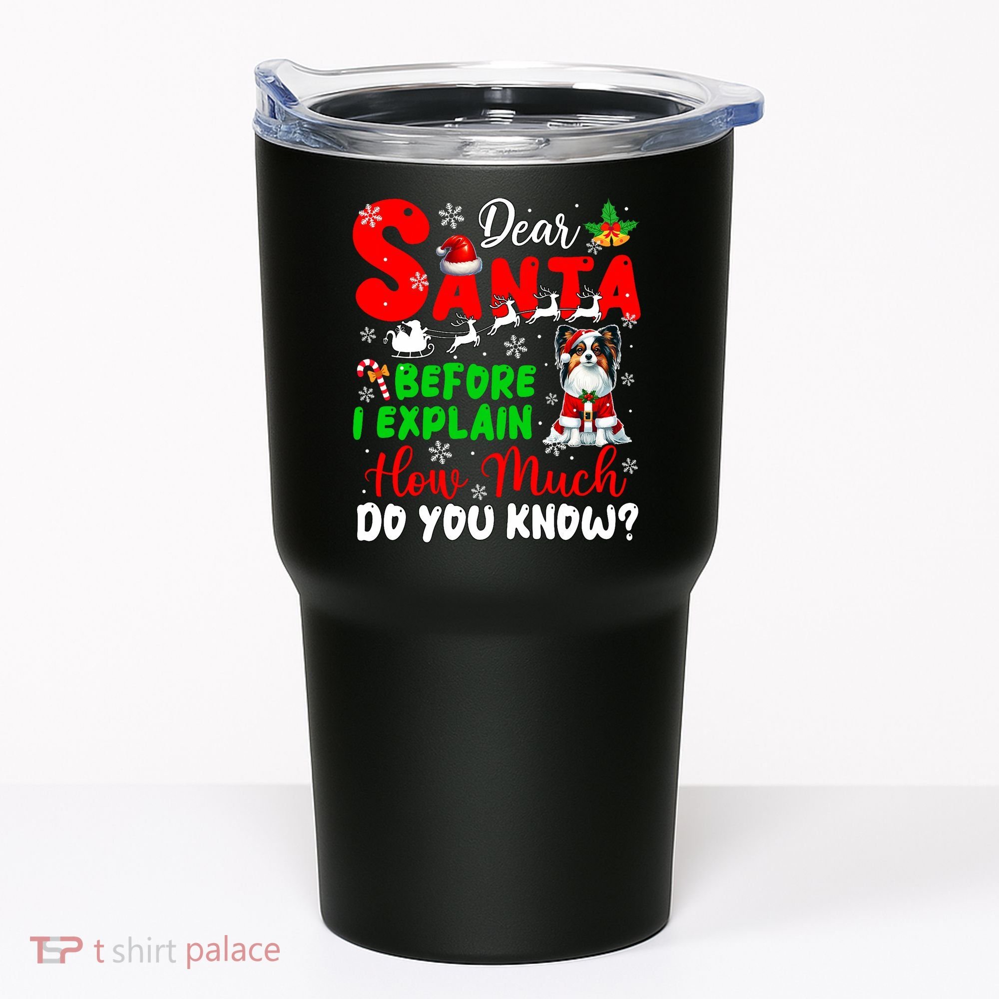 Before I Explain How Much You Know Xmas Papillon Owner Lover Tumbler