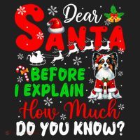 Before I Explain How Much You Know Xmas Papillon Owner Lover Tumbler thumb 3