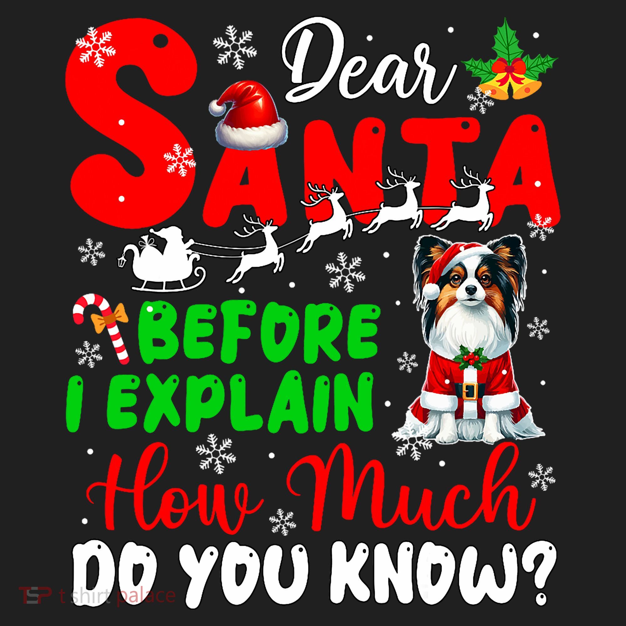 Before I Explain How Much You Know Xmas Papillon Owner Lover Tumbler