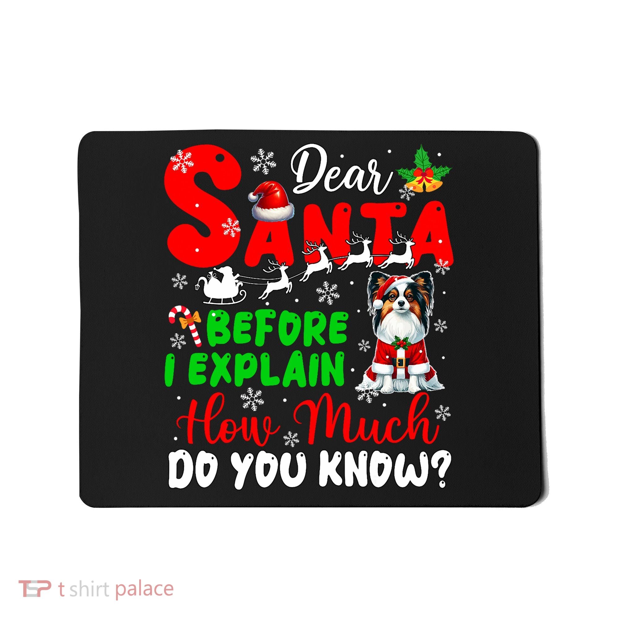 Before I Explain How Much You Know Xmas Papillon Owner Lover Mousepad