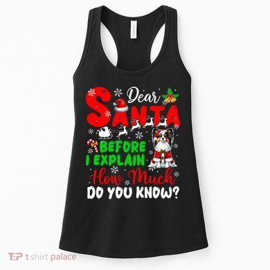 Before I Explain How Much You Know Xmas Papillon Owner Lover Women's Tank Top
