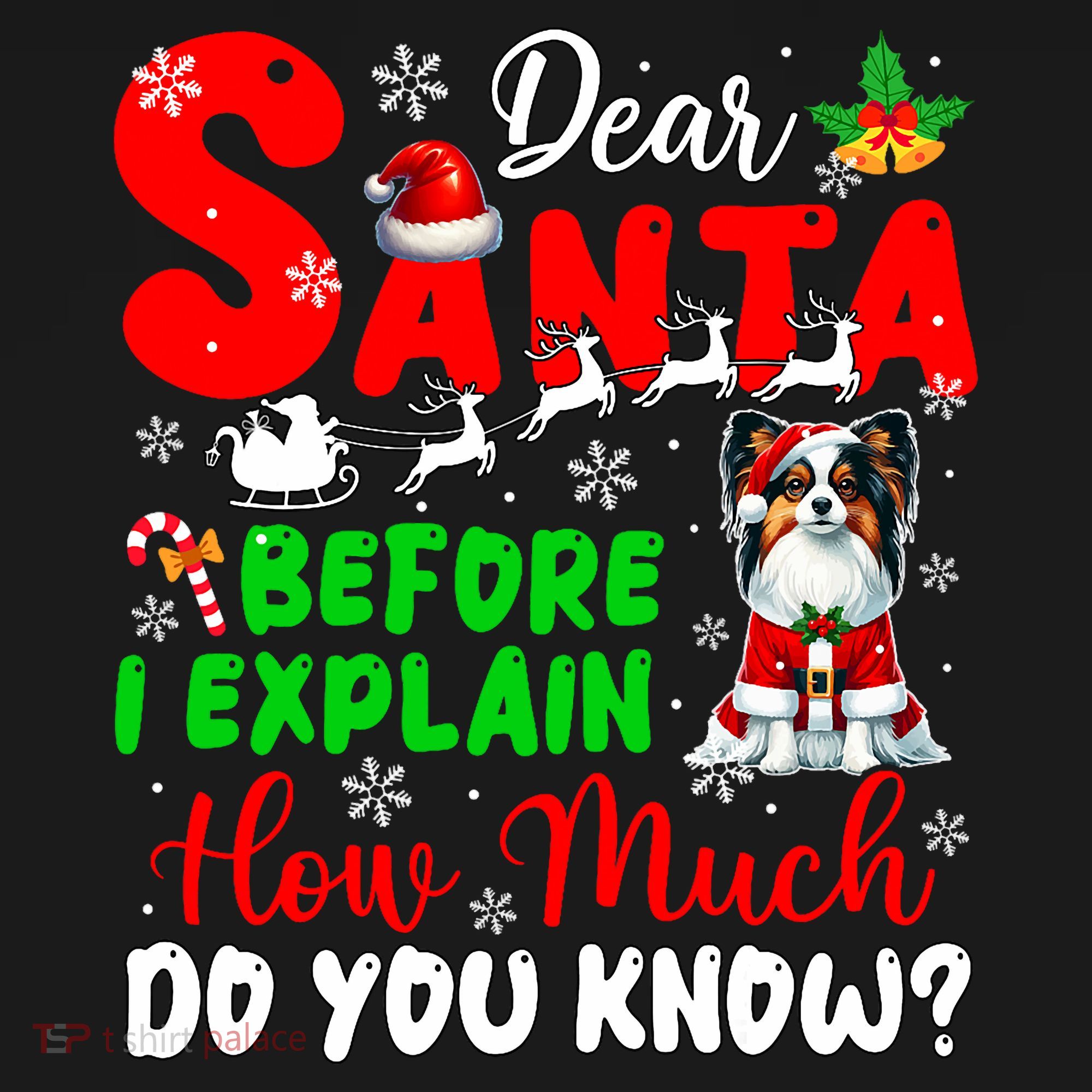 Before I Explain How Much You Know Xmas Papillon Owner Lover Baby Bodysuit