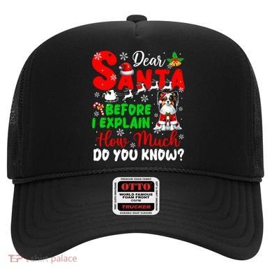 Before I Explain How Much You Know Xmas Papillon Owner Lover Hat