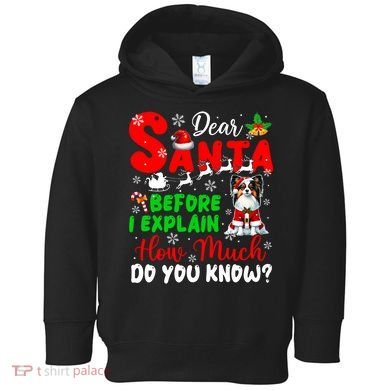 Before I Explain How Much You Know Xmas Papillon Owner Lover Toddler Hoodie