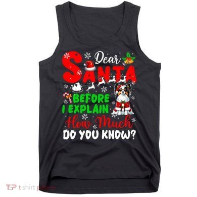 Before I Explain How Much You Know Xmas Papillon Owner Lover Tank Top