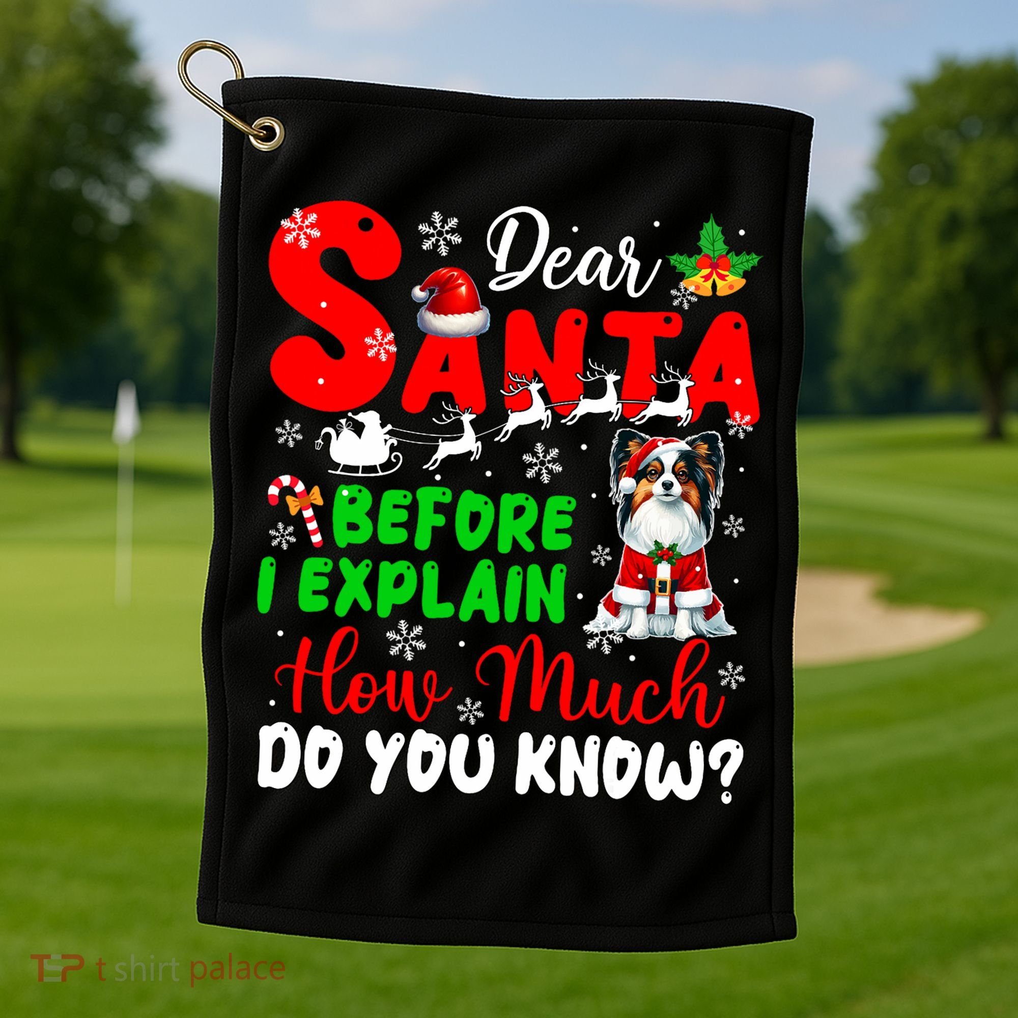 Before I Explain How Much You Know Xmas Papillon Owner Lover Golf Towel