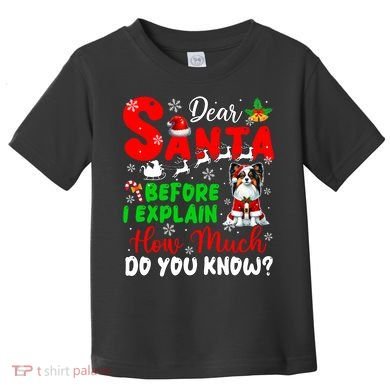 Before I Explain How Much You Know Xmas Papillon Owner Lover Toddler T-Shirt