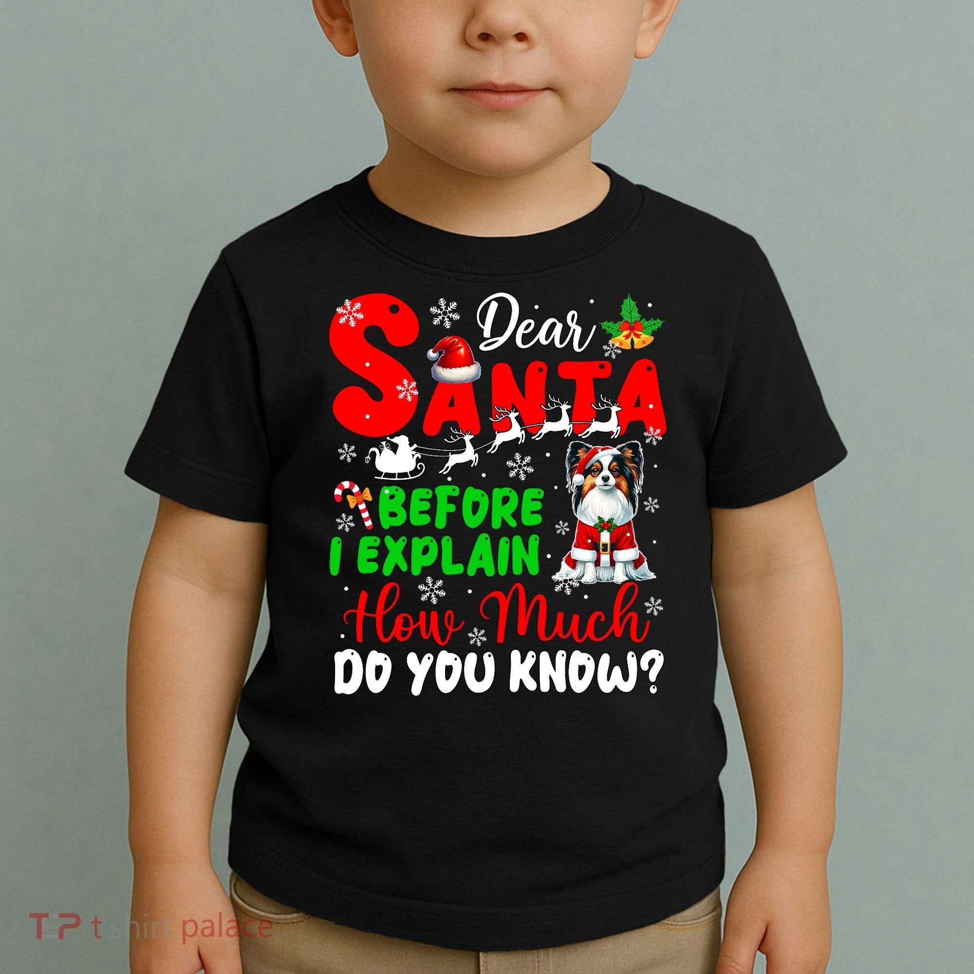 Before I Explain How Much You Know Xmas Papillon Owner Lover Toddler T-Shirt