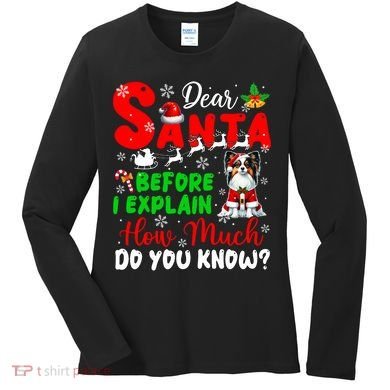 Before I Explain How Much You Know Xmas Papillon Owner Lover Women's Long Sleeve Shirt