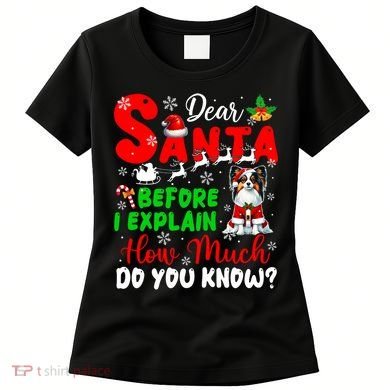 Before I Explain How Much You Know Xmas Papillon Owner Lover Women's T-Shirt