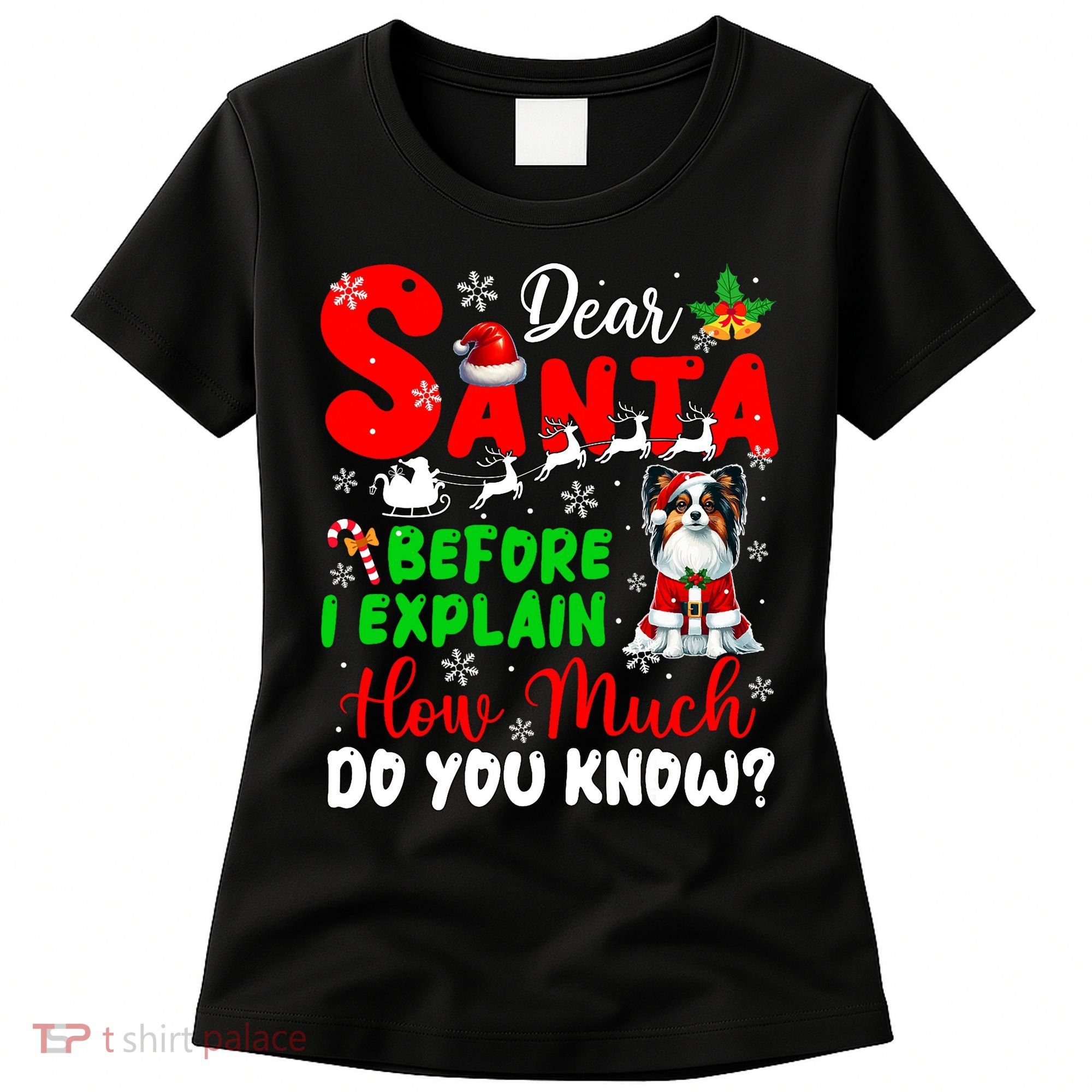 Before I Explain How Much You Know Xmas Papillon Owner Lover Women's T-Shirt