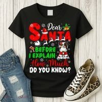 Before I Explain How Much You Know Xmas Papillon Owner Lover Women's T-Shirt thumb 3