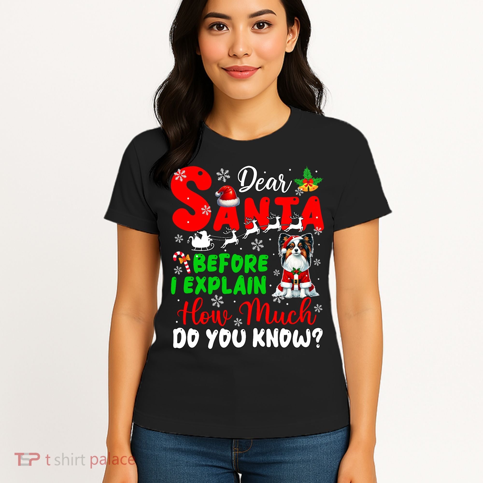 Before I Explain How Much You Know Xmas Papillon Owner Lover Women's T-Shirt