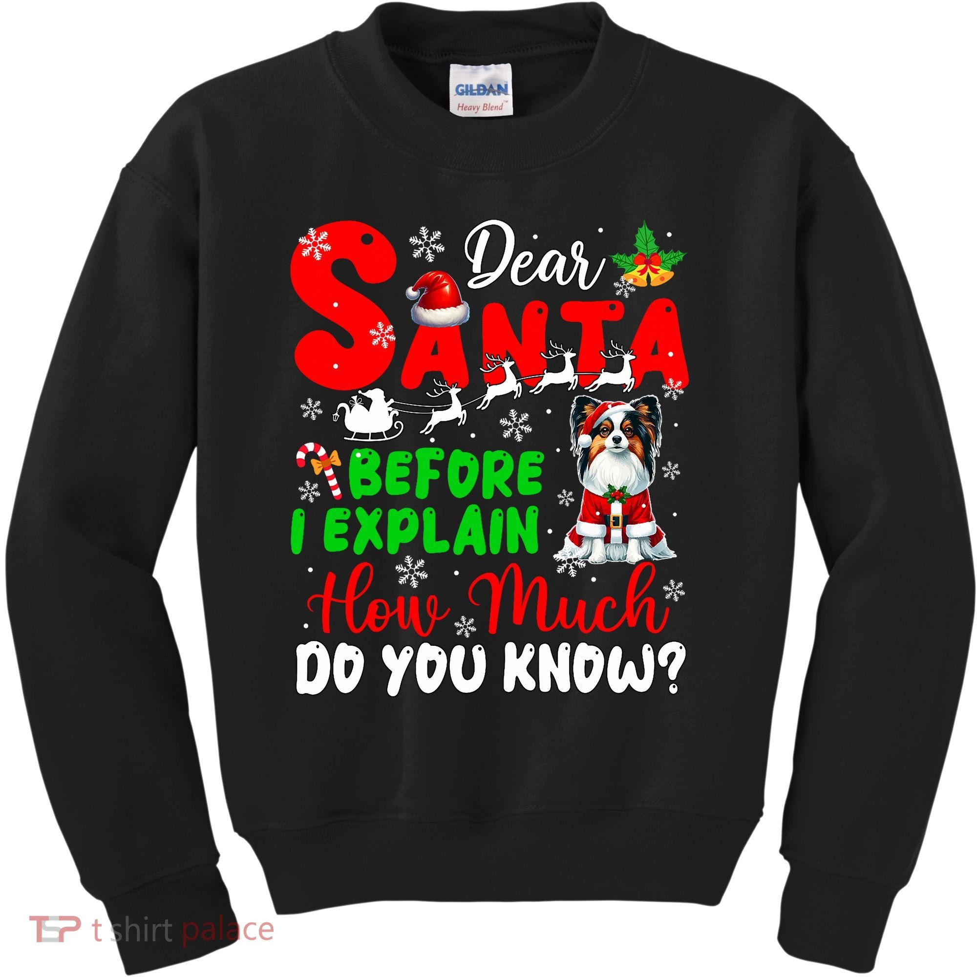 Before I Explain How Much You Know Xmas Papillon Owner Lover Kids Sweatshirt