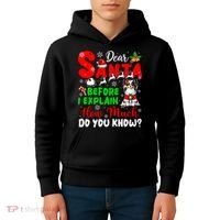 Before I Explain How Much You Know Xmas Papillon Owner Lover Kids Hoodie thumb 4
