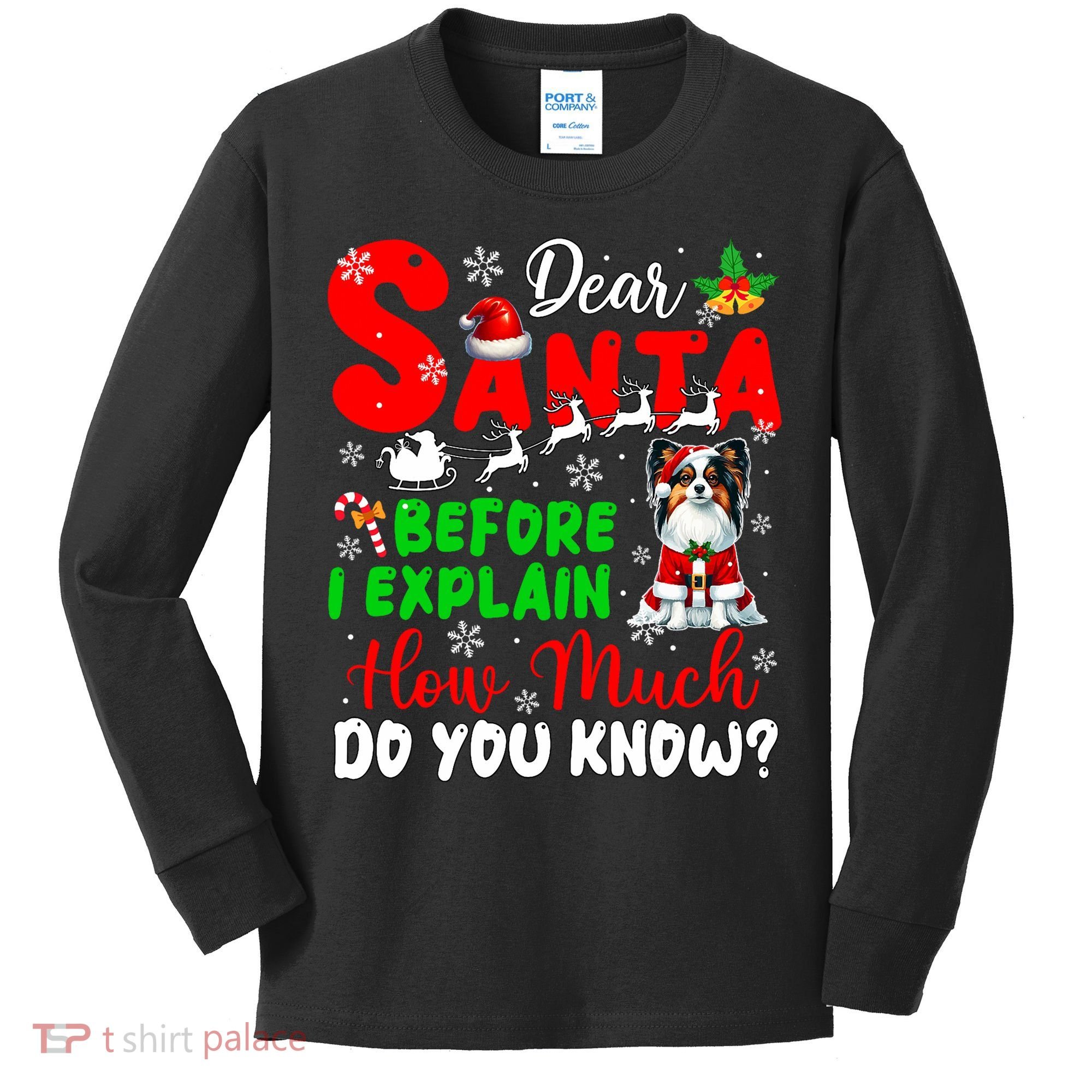 Before I Explain How Much You Know Xmas Papillon Owner Lover Kids Long Sleeve Shirt