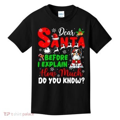 Before I Explain How Much You Know Xmas Papillon Owner Lover Kids T-Shirt