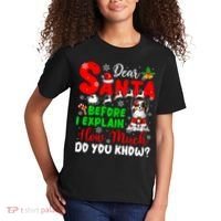 Before I Explain How Much You Know Xmas Papillon Owner Lover Kids T-Shirt thumb 2