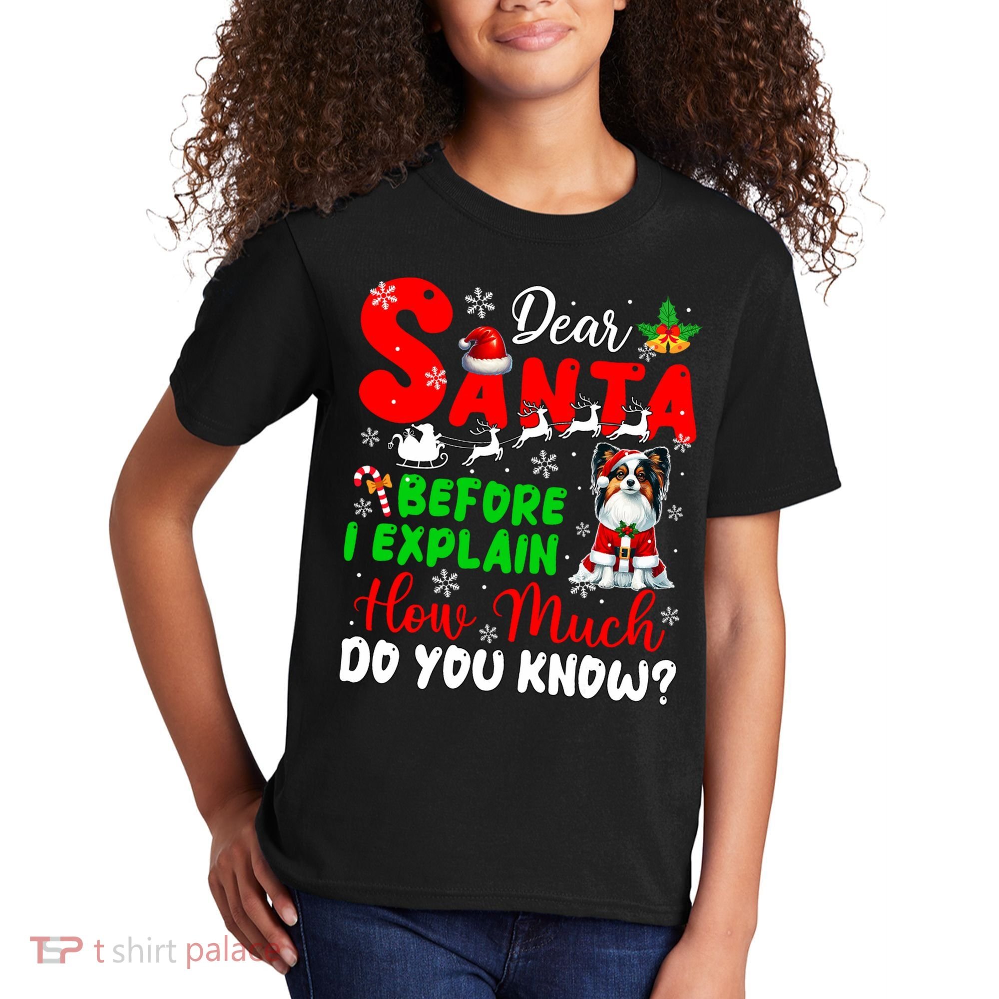 Before I Explain How Much You Know Xmas Papillon Owner Lover Kids T-Shirt