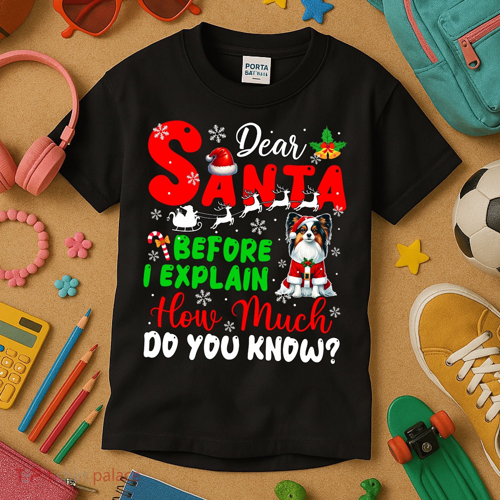Before I Explain How Much You Know Xmas Papillon Owner Lover Kids T-Shirt