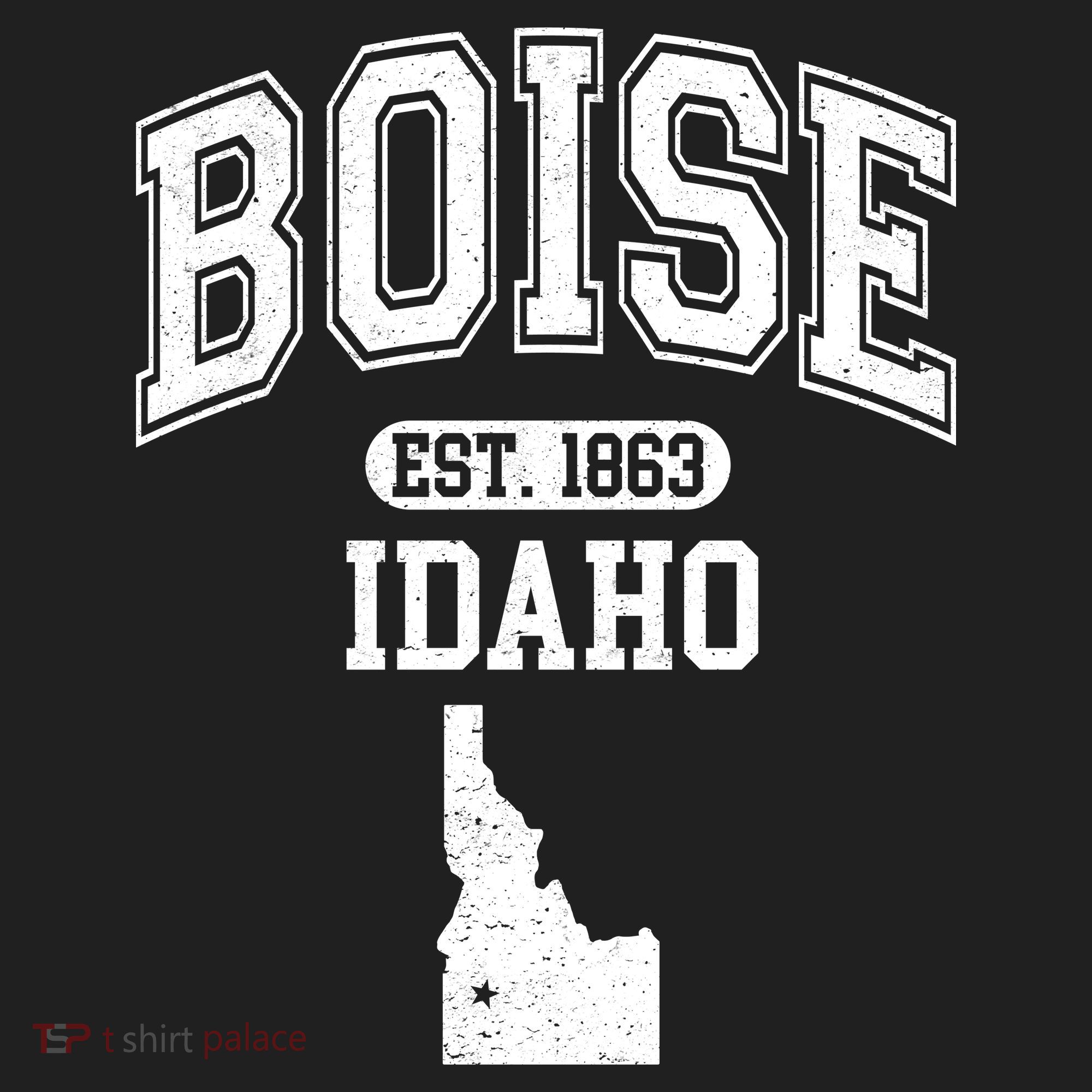 Boise Idaho Est. 1863 Varsity Beanie