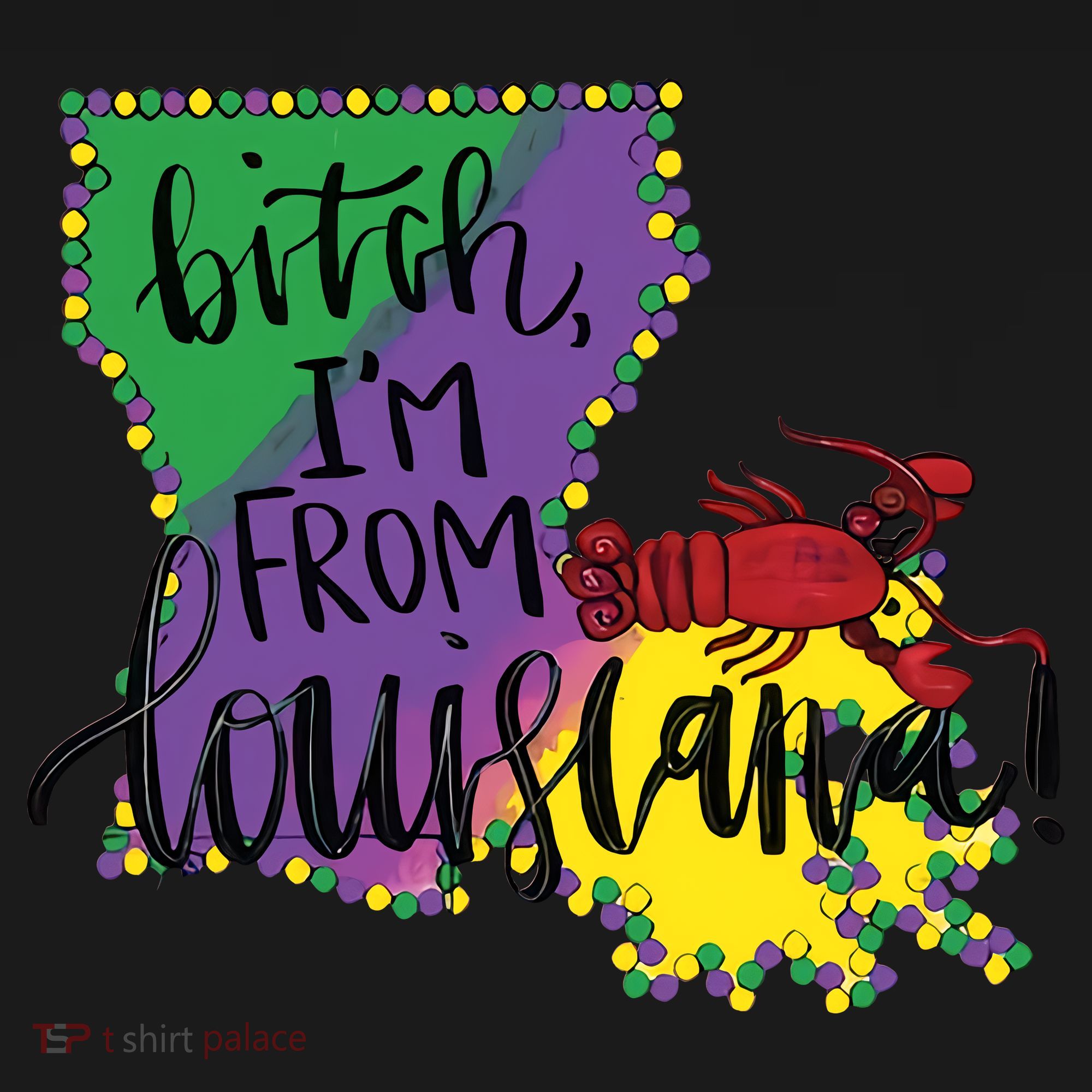 Bitch I'm From Louisiana Mardi Gras Louisiana Map Coaster