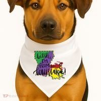 Bitch I'm From Louisiana Mardi Gras Louisiana Map USA-Made Doggie Bandana thumb 1