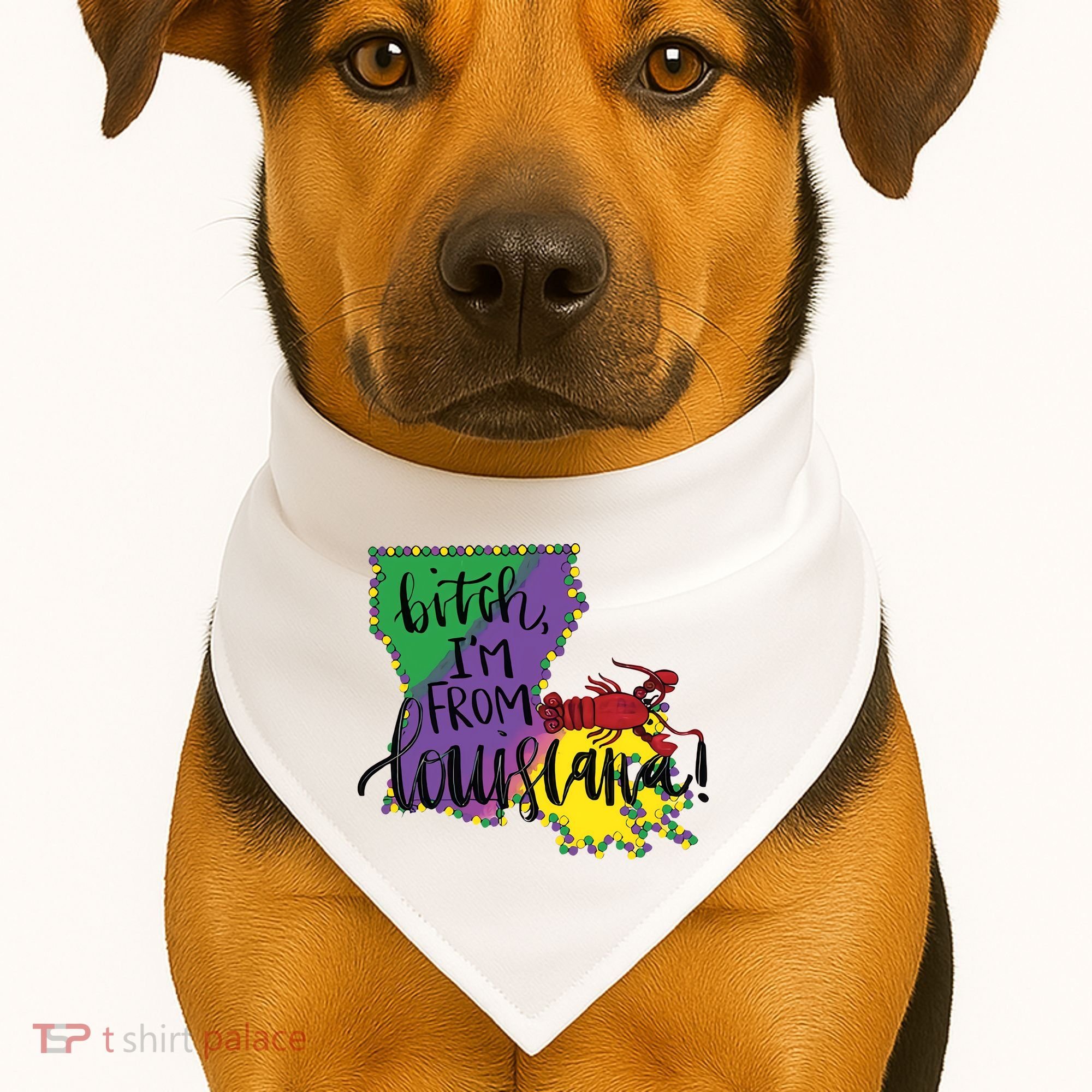 Bitch I'm From Louisiana Mardi Gras Louisiana Map USA-Made Doggie Bandana