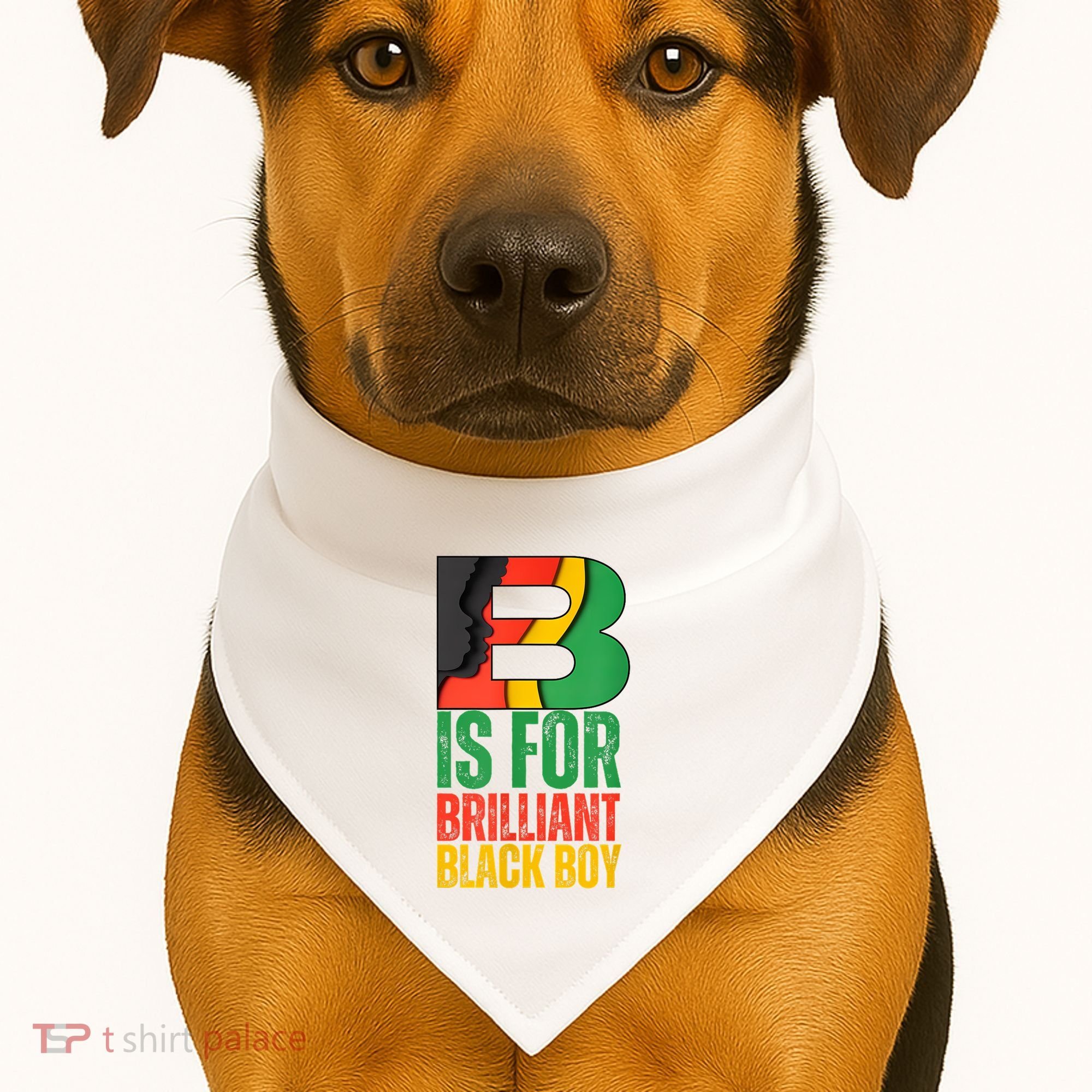 B Is For Brilliant Black Boy Black History Month USA-Made Doggie Bandana