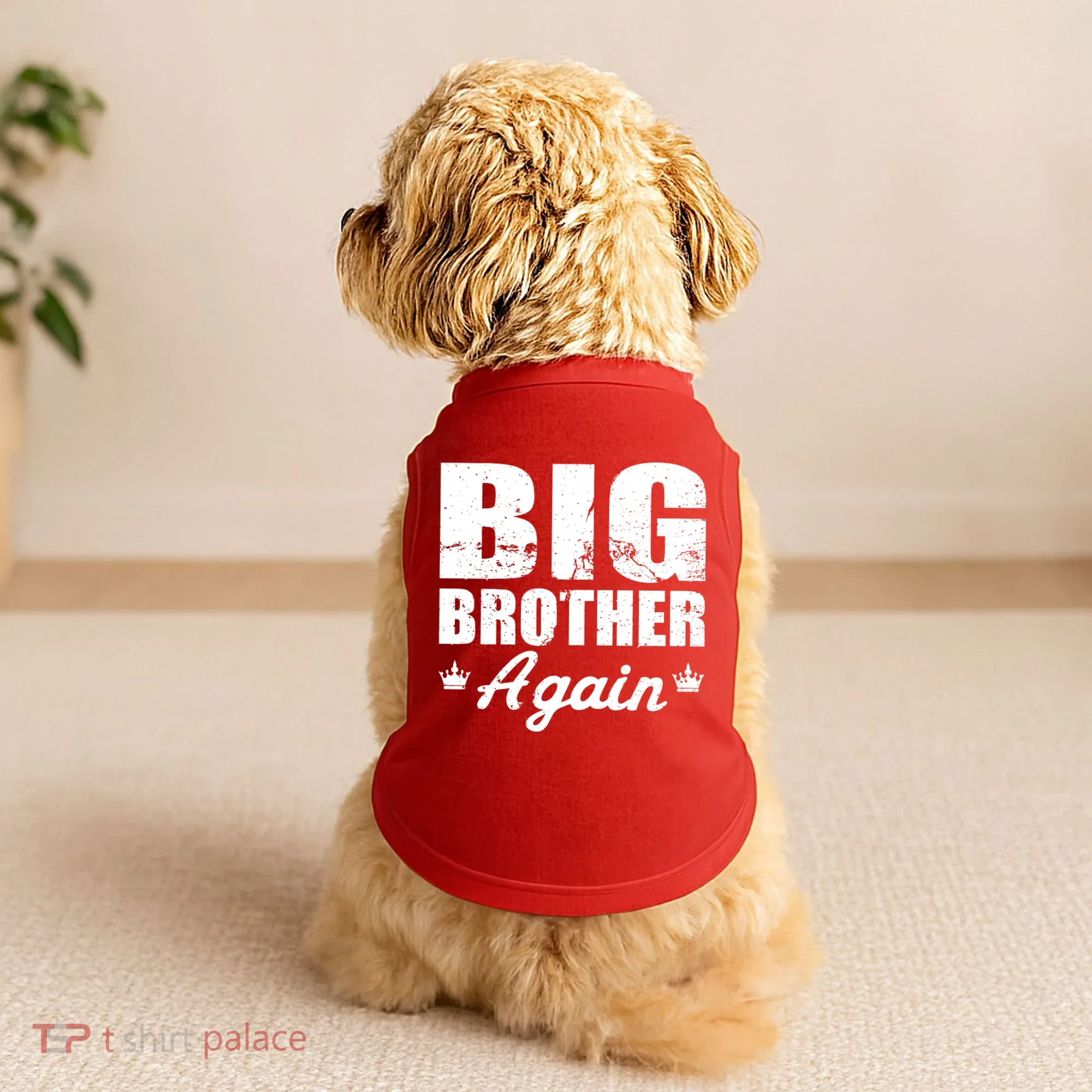 Big Brother Again Doggie Tank