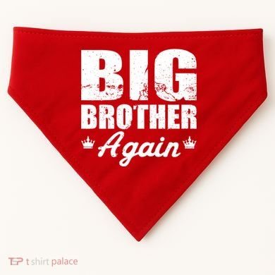 Big Brother Again USA-Made Doggie Bandana