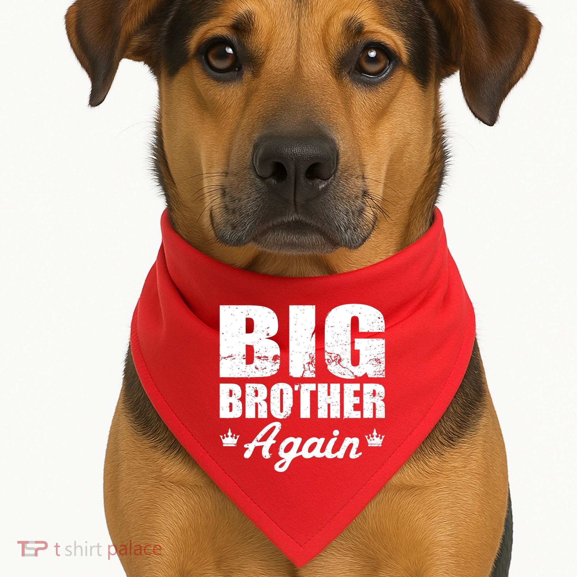 Big Brother Again USA-Made Doggie Bandana
