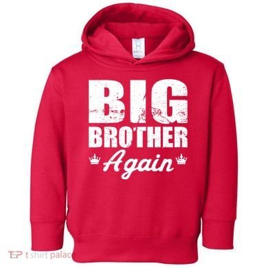 Big Brother Again Toddler Hoodie