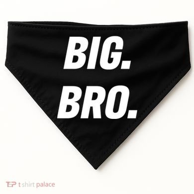 Big Brother Announcement USA-Made Doggie Bandana