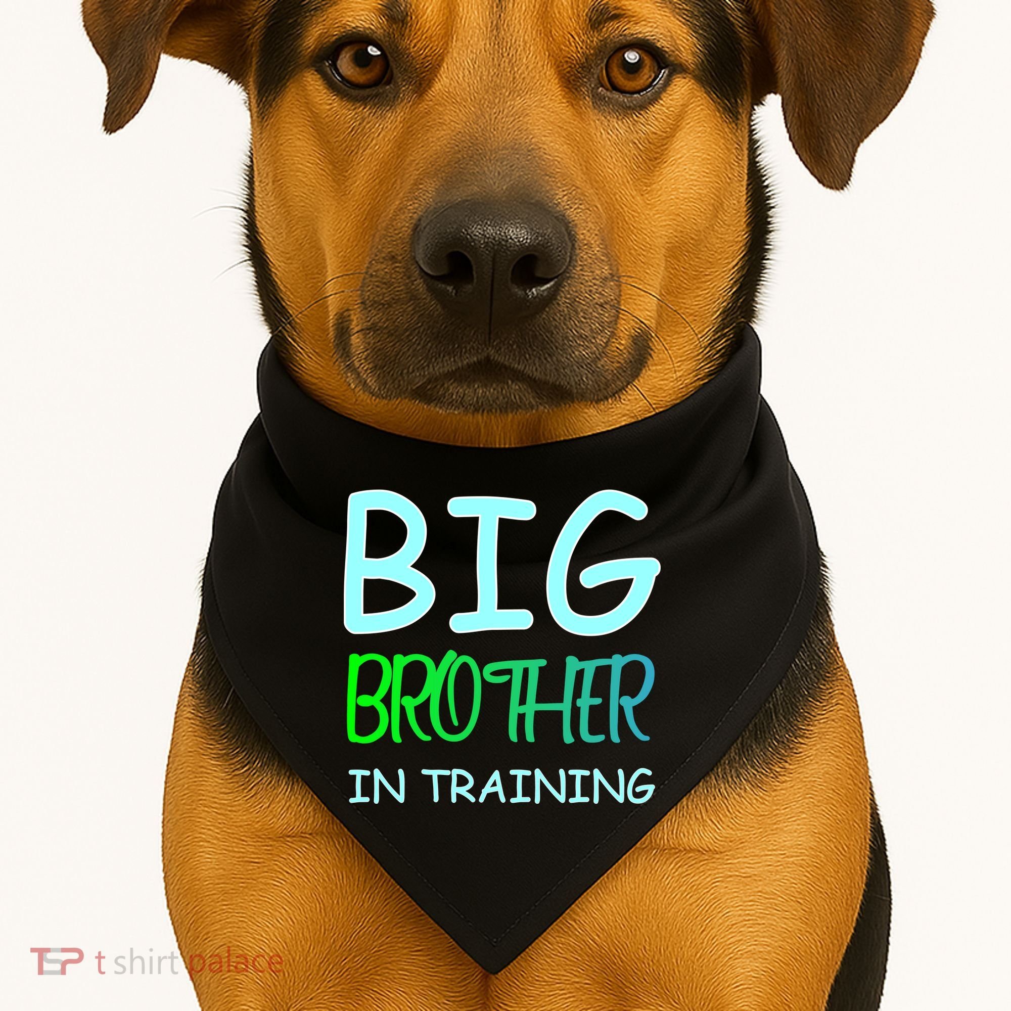 Big Brother In Training USA-Made Doggie Bandana