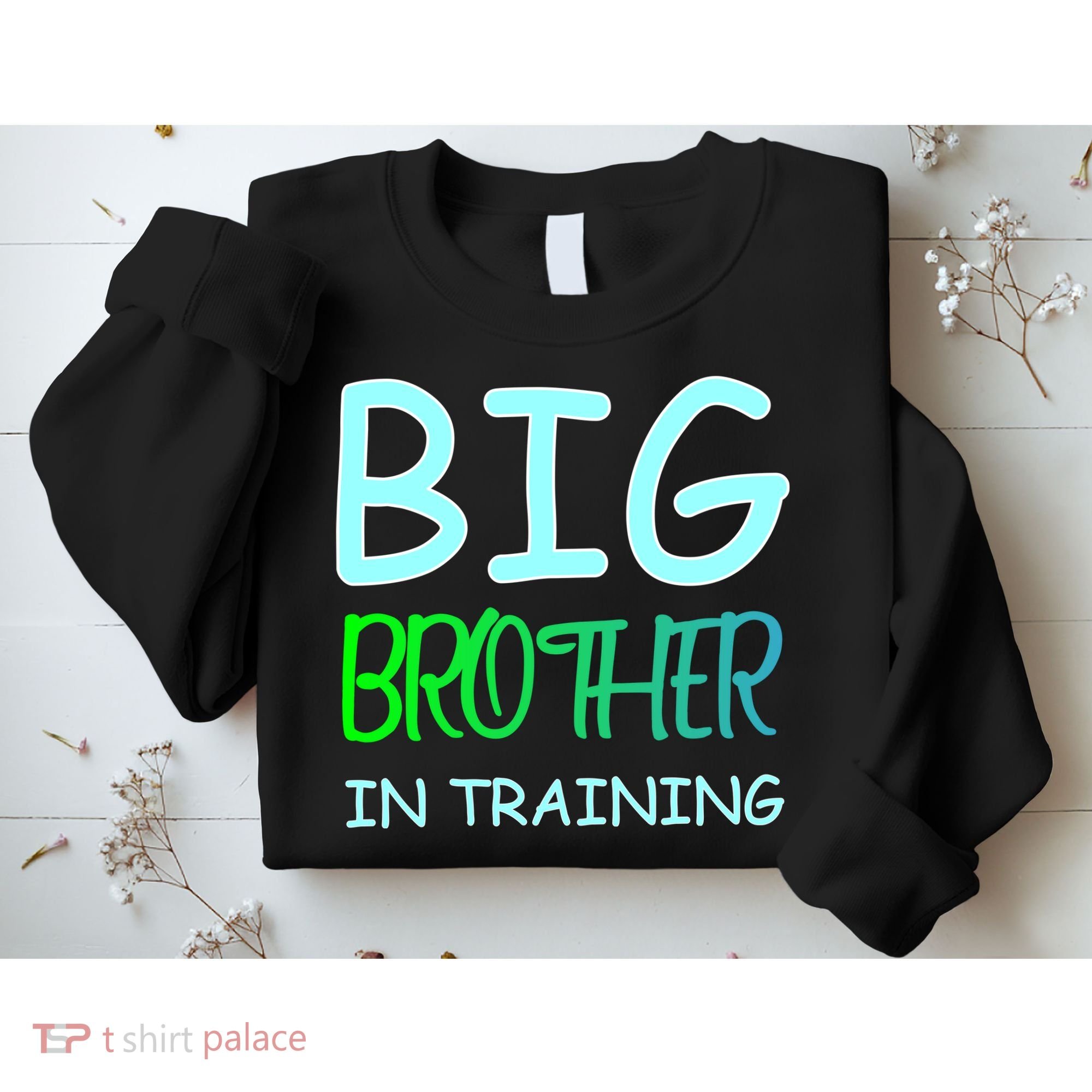 Big Brother In Training Sweatshirt