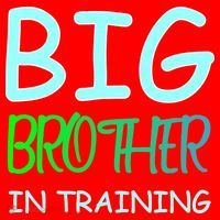 Big Brother In Training Santa Hat thumb 1