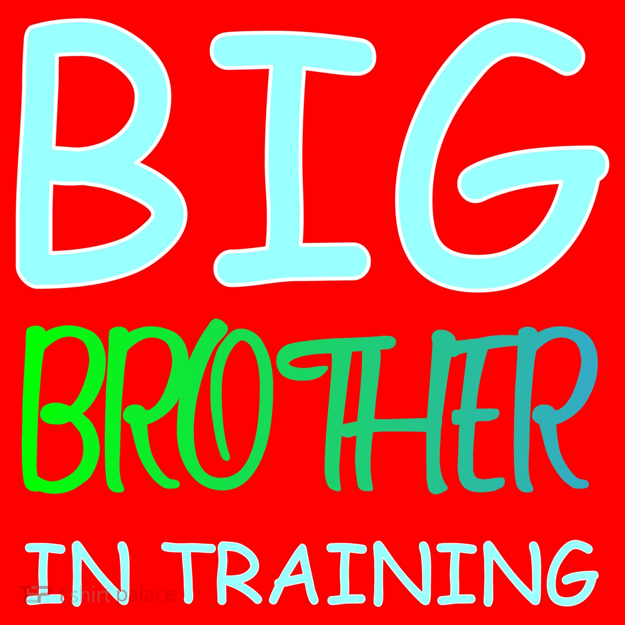 Big Brother In Training Santa Hat