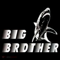 Big Brother Shark Funny Bro Ornament thumb 1