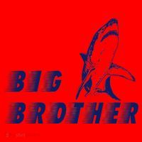 Big Brother Shark Funny Bro Santa Hat thumb 1