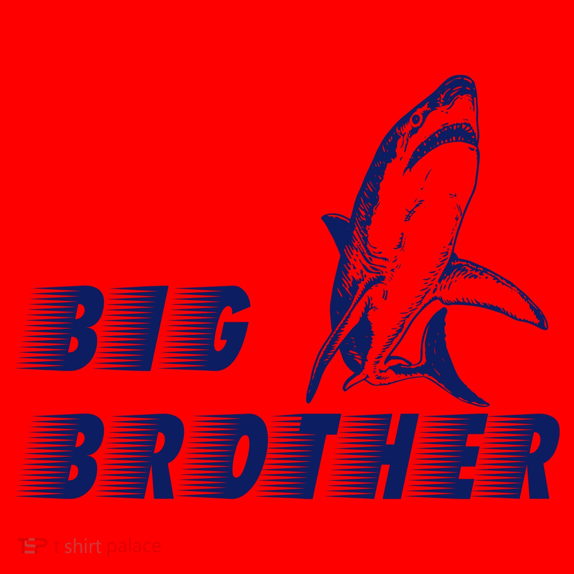 Big Brother Shark Funny Bro Santa Hat