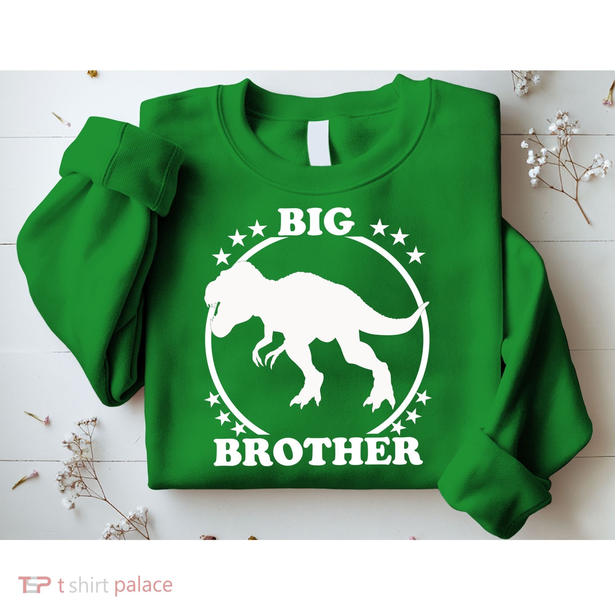 Big Brother T-Rex Sweatshirt