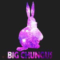 Big Chungus Galaxy Tumbler thumb 3